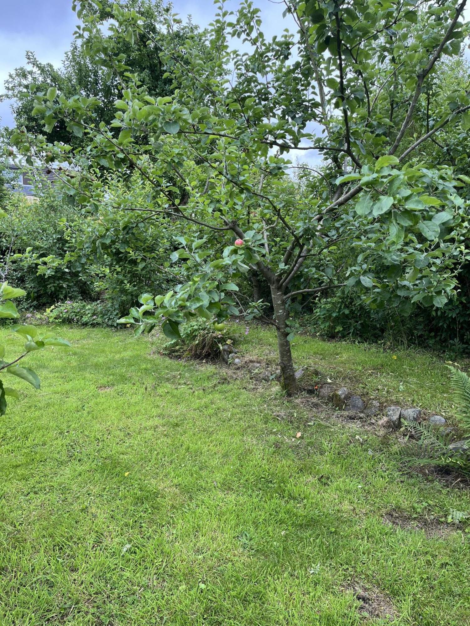 Apple Cottage Newton Stewart Luaran gambar